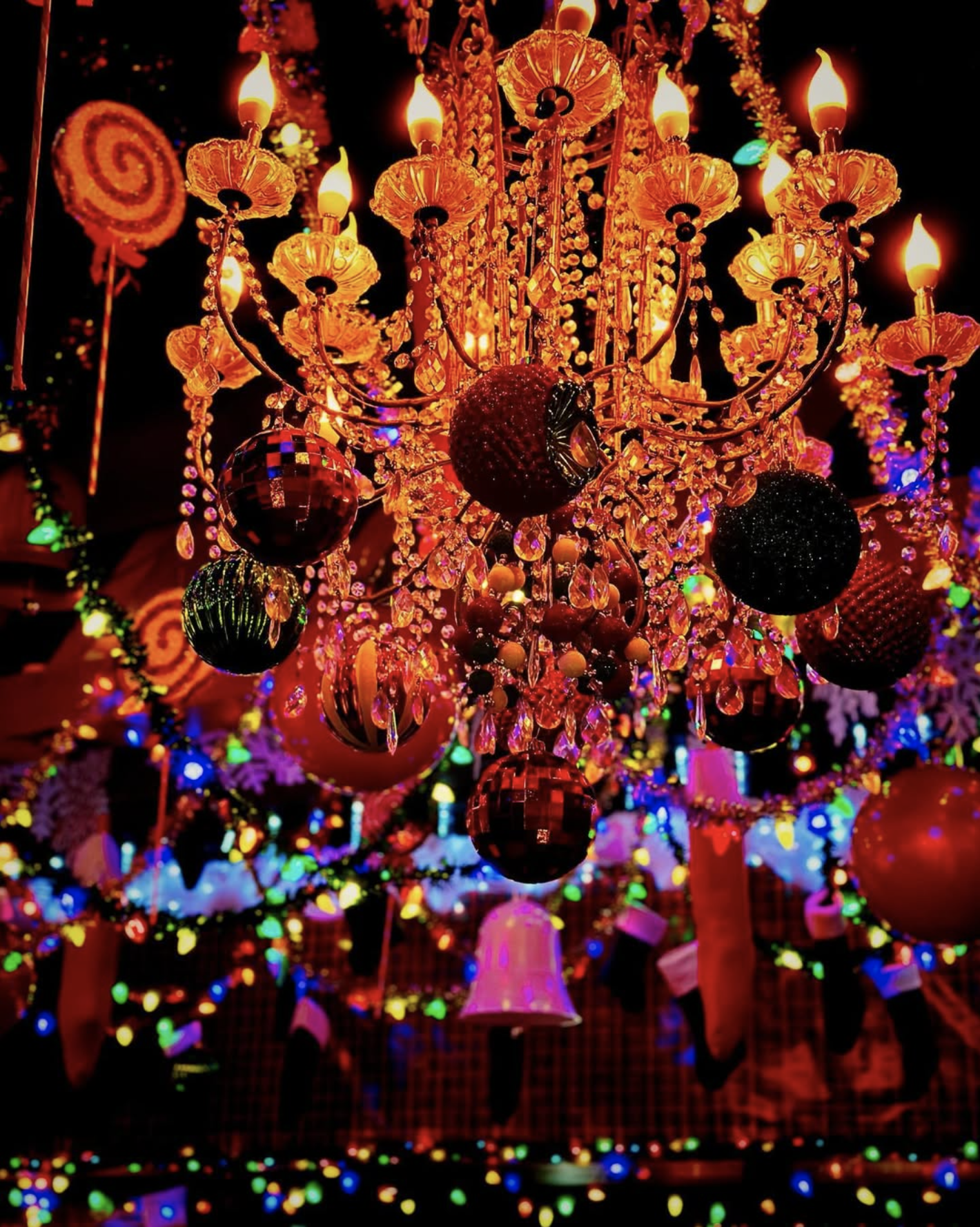 Festive Food & Drinks